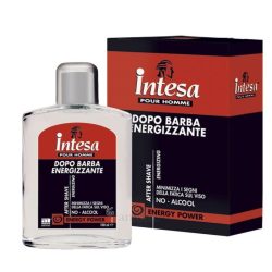 افترشیو انرژی پاور اینتسا INTESA